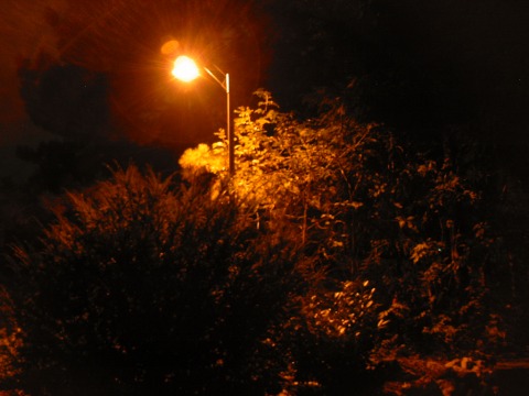 Nachtfoto mit Laterne