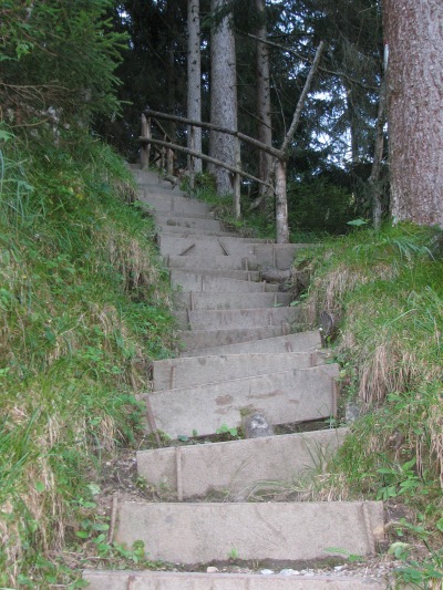 Treppe in einen Wald hinauf
