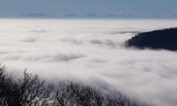 Nebel - <em>Foto: Oskar Müller</em>
