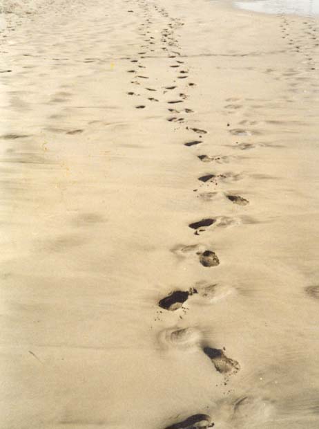 Spuren im Sand- Foto: Hubertus Brantzen