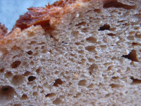Brot - Foto: Hubertus Brantzen