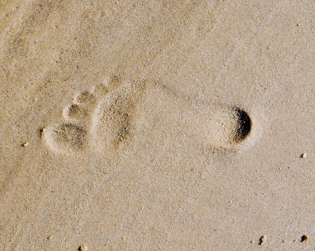 Fußspuren – Foto: pixabay.com