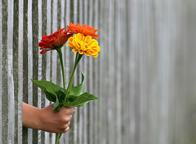 <em>Hand Blumen-</em> Foto: pixabay.com