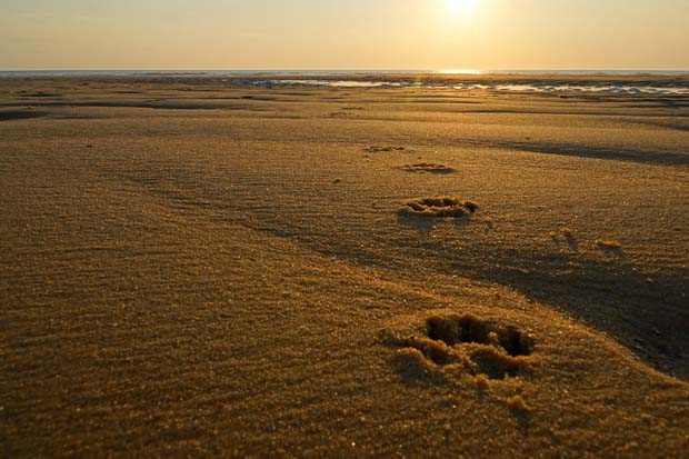 Sand - Foto: pixabay.com