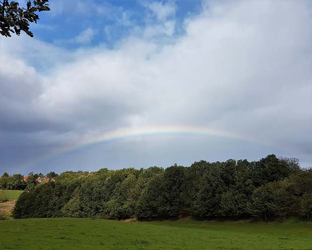 Regenbogen - Foto: Cornelia Napierski