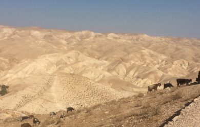 Wüste in Judäa