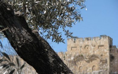 zugemauertes Goldenes Tor in Jerusalem