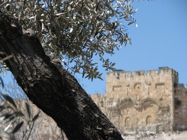 Goldenes Tor Jerusalem - Foto: Marie-Luise Langwald