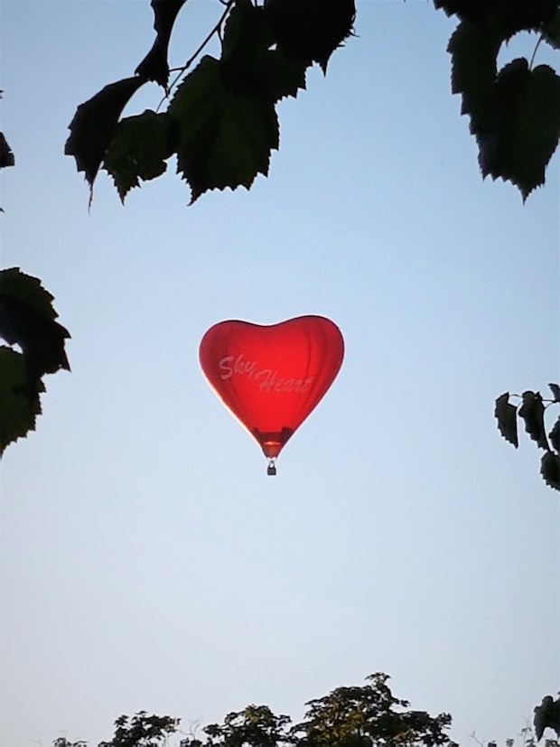Herzballon - Foto: Cornelia Napierski